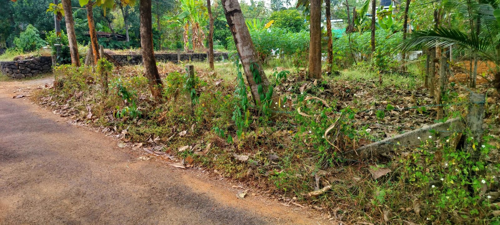 prashant naganchery 10