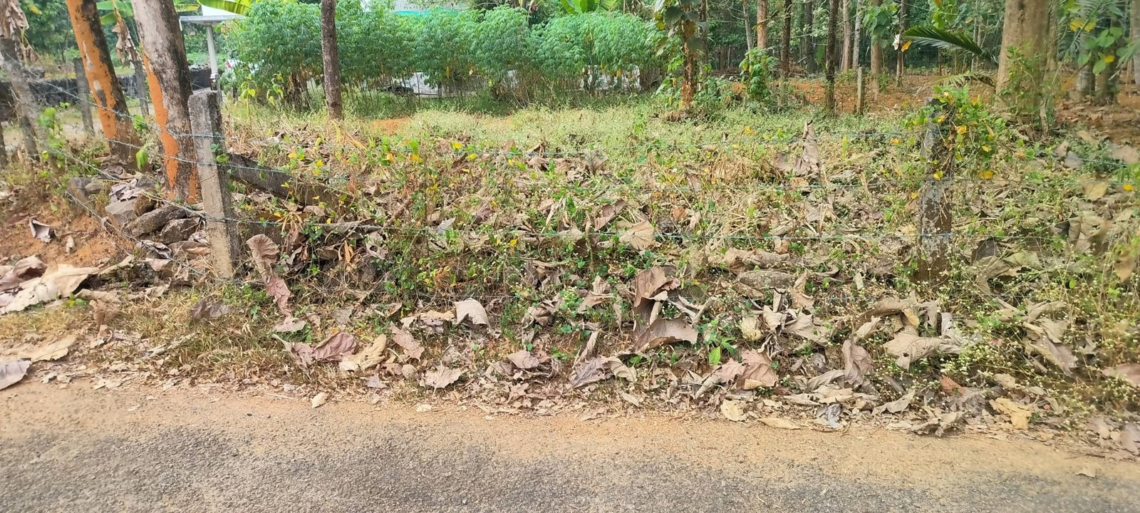 prashant naganchery 11