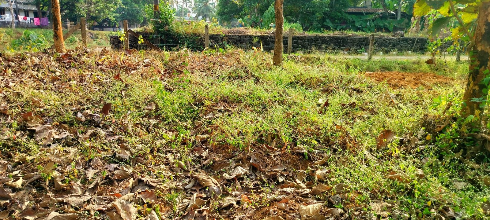 prashant naganchery 17