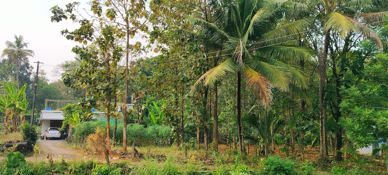 prashant naganchery 2