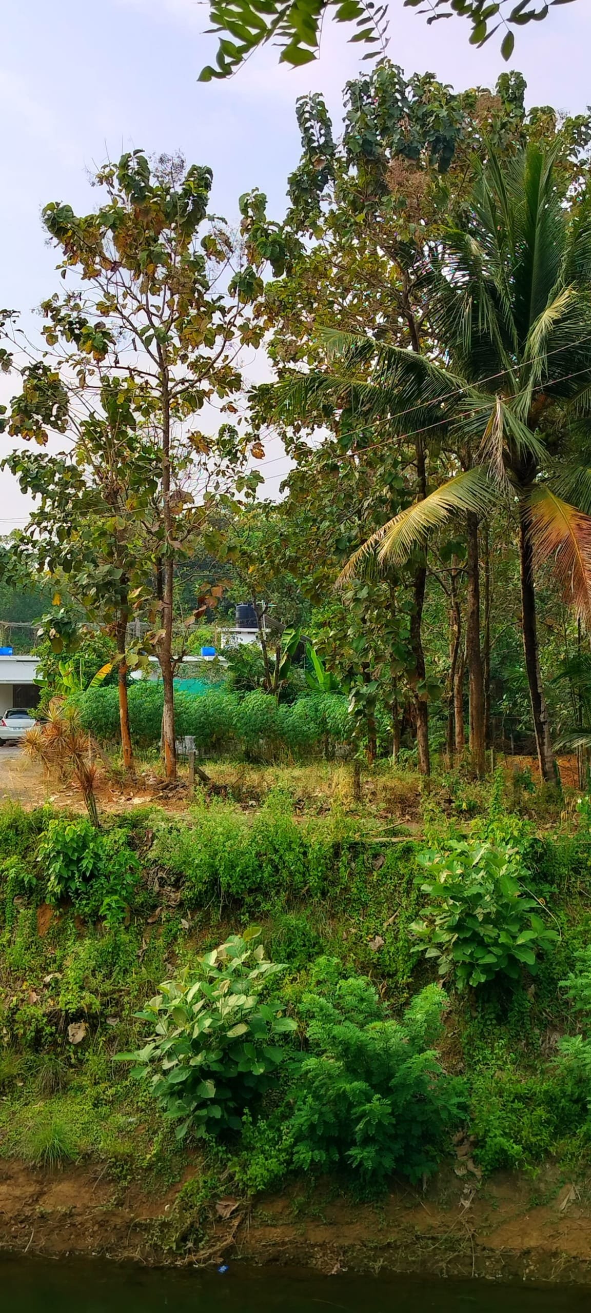 prashant naganchery 4