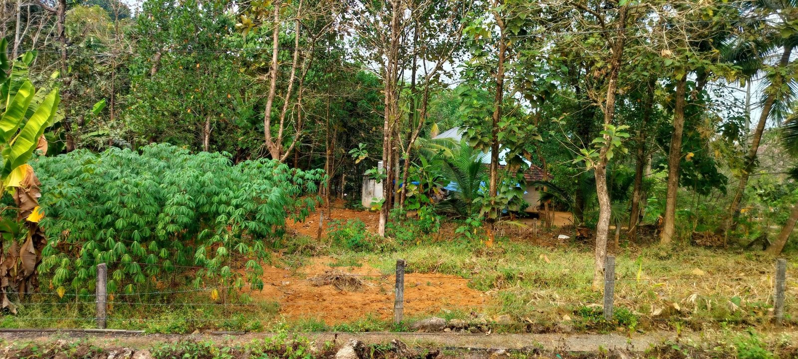 prashant naganchery 5