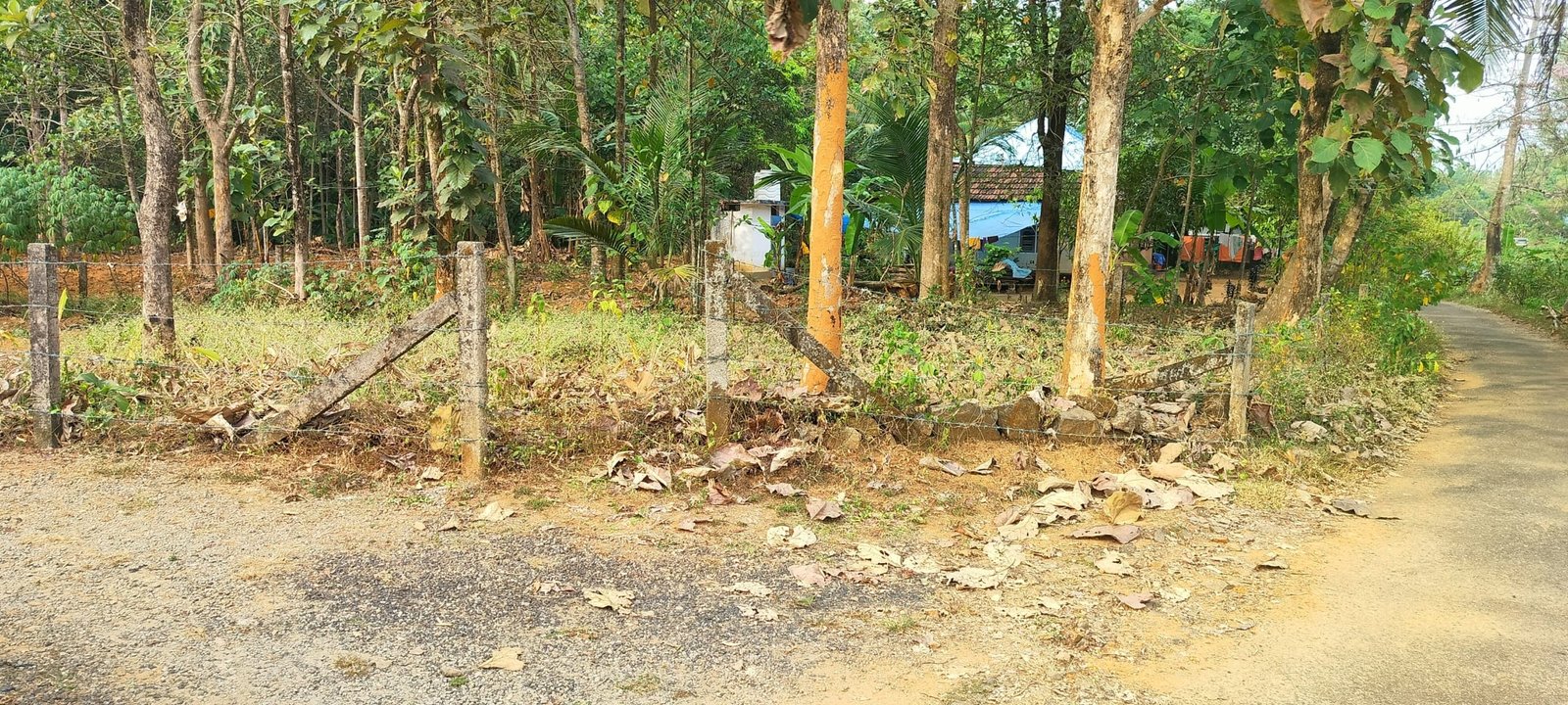 prashant naganchery 7