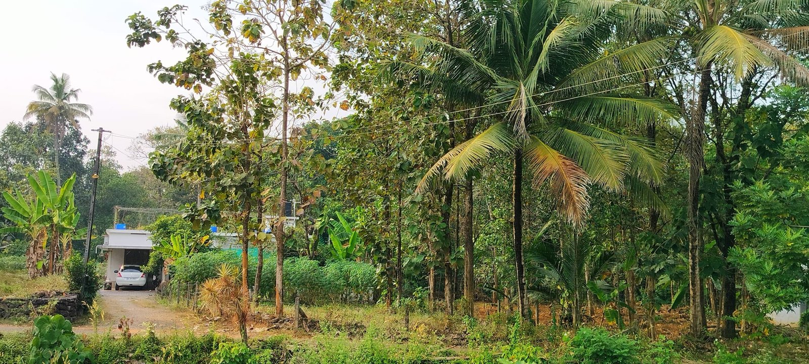 prashanth naganchery 1