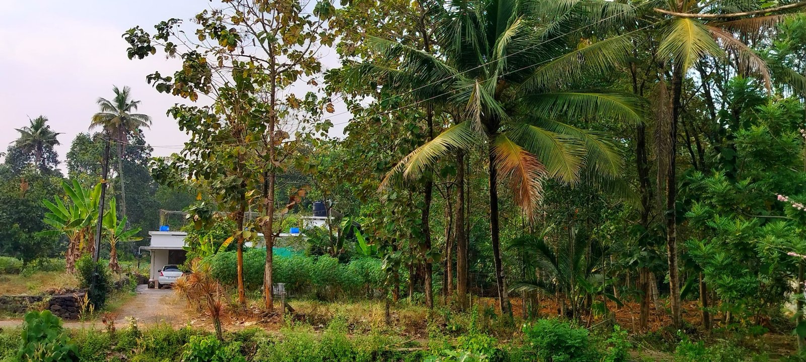 prashanth naganchery 3