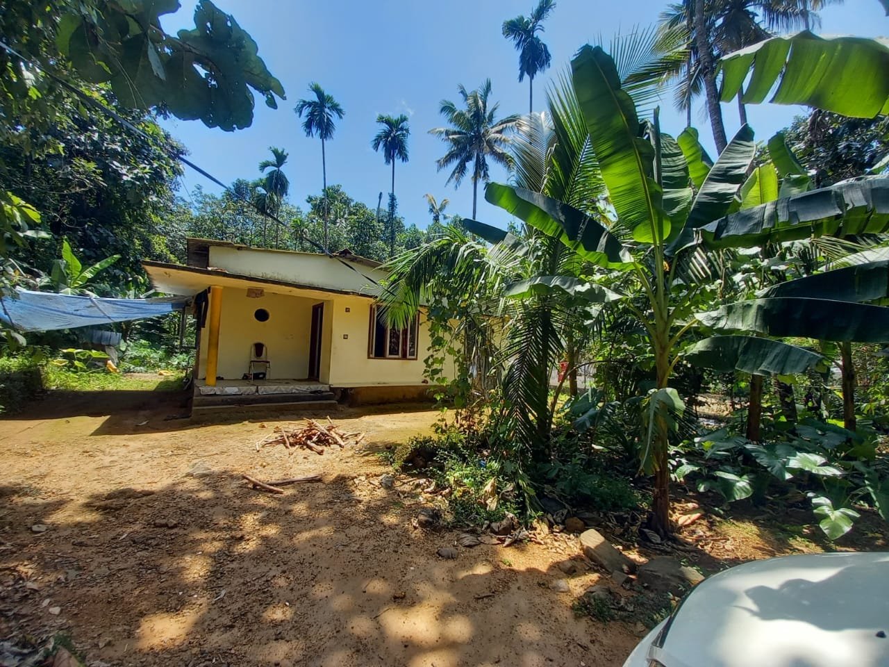 VADATTUPARA 10308, 1