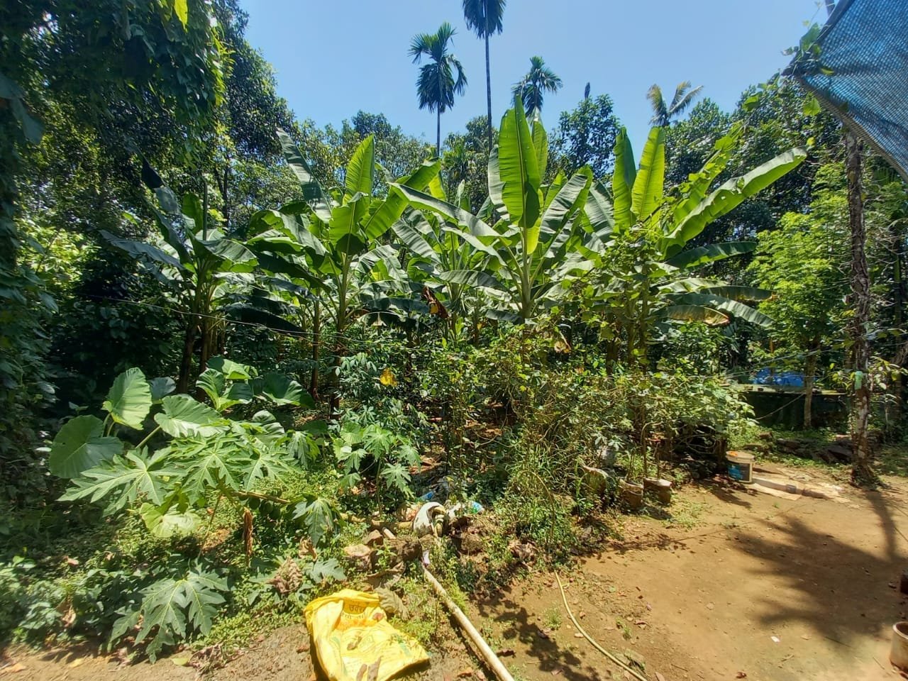 VADATTUPARA 10308, 2