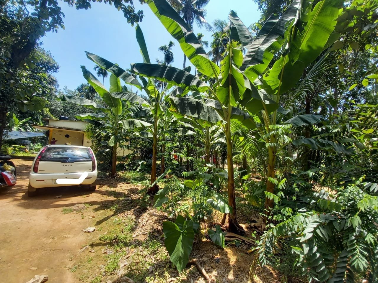 VADATTUPARA 10308, 6