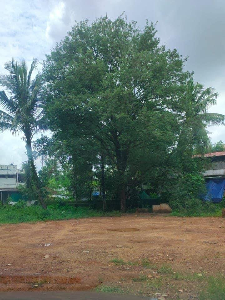 KEECHERIPADY 10391 2