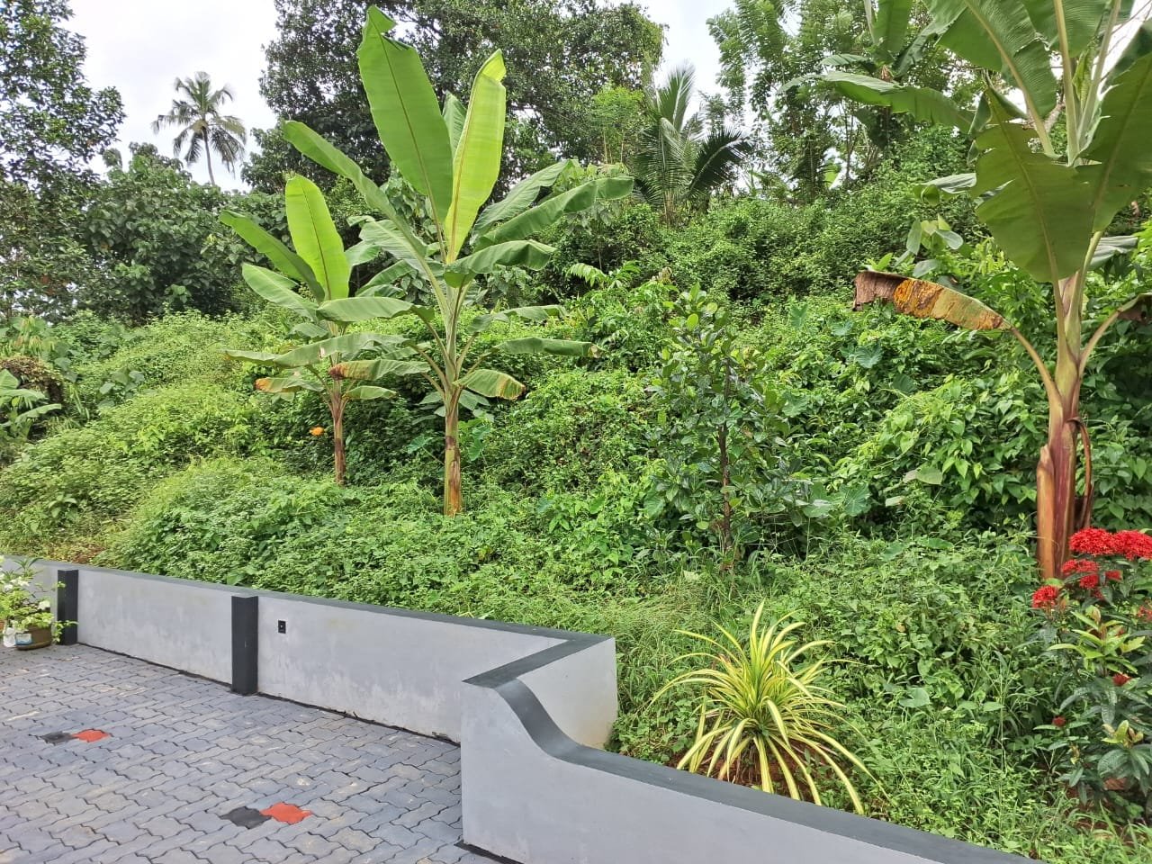 MALAYANKEEZHU 10491 4