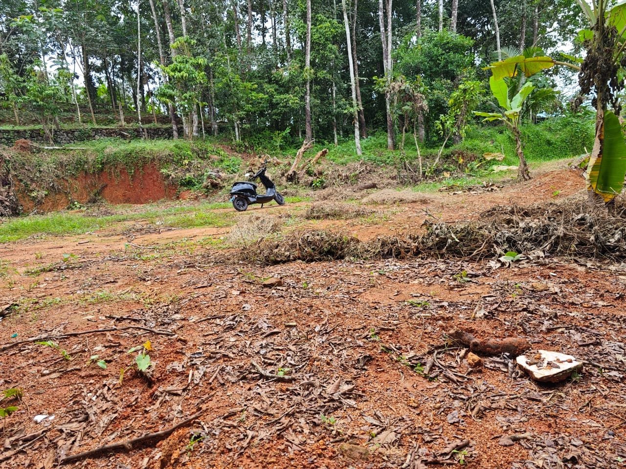 MANGATTUKAVALA 10408 1