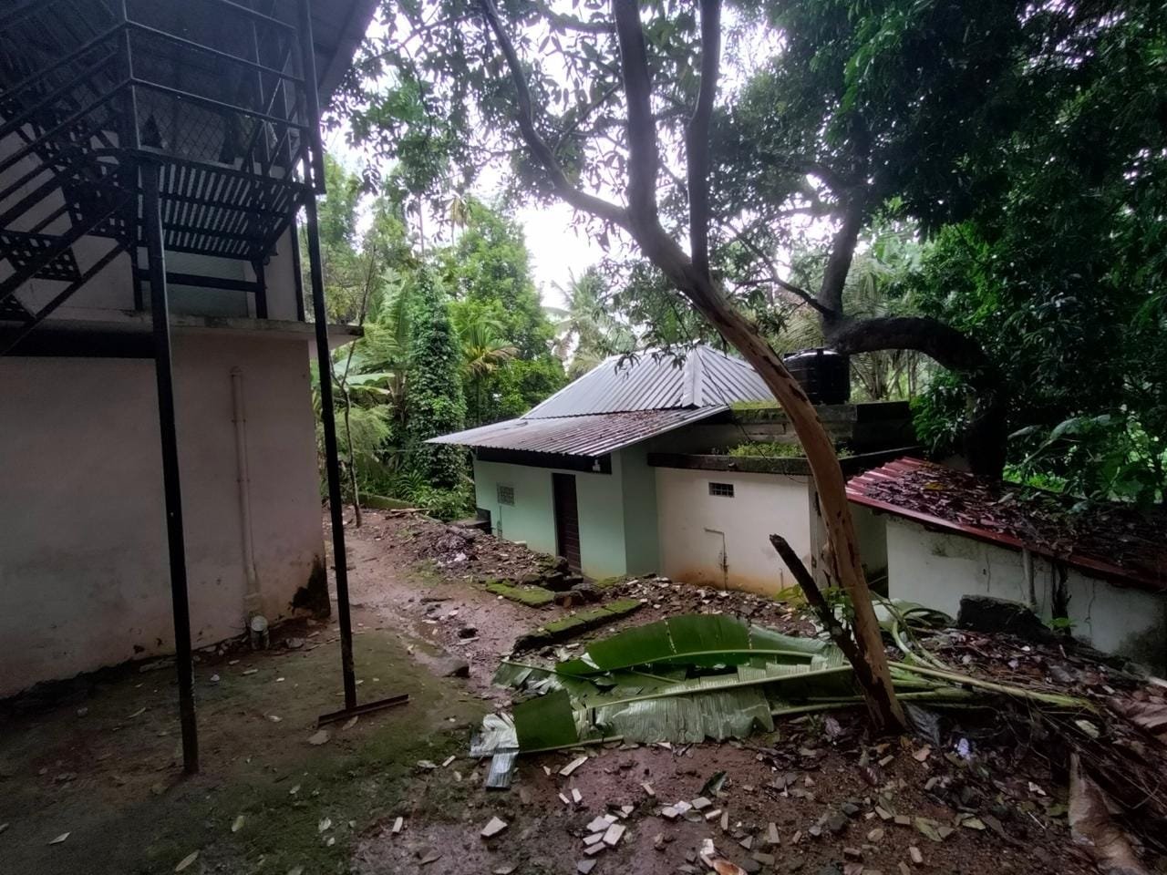 MUVATTUPUZHA 10454 3