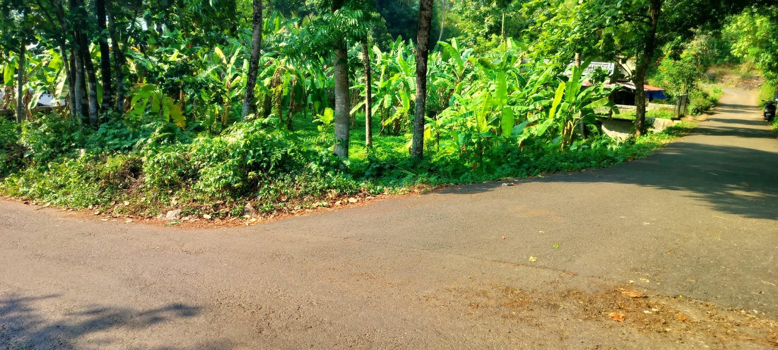 THRIKALATHOOR 10444 12