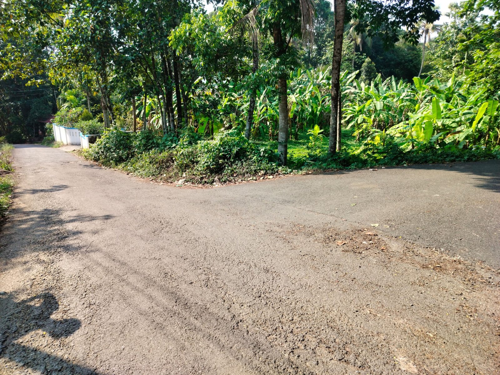 THRIKALATHOOR 10444 2