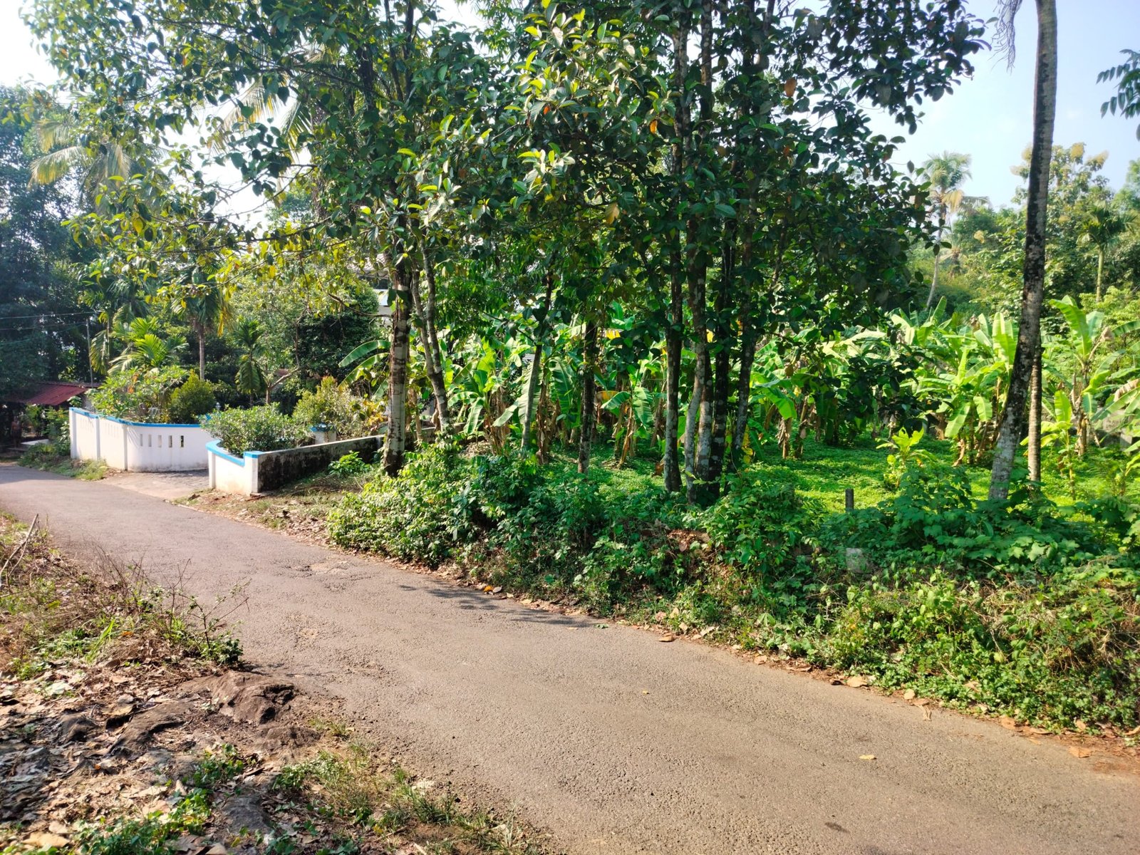 THRIKALATHOOR 10444 5