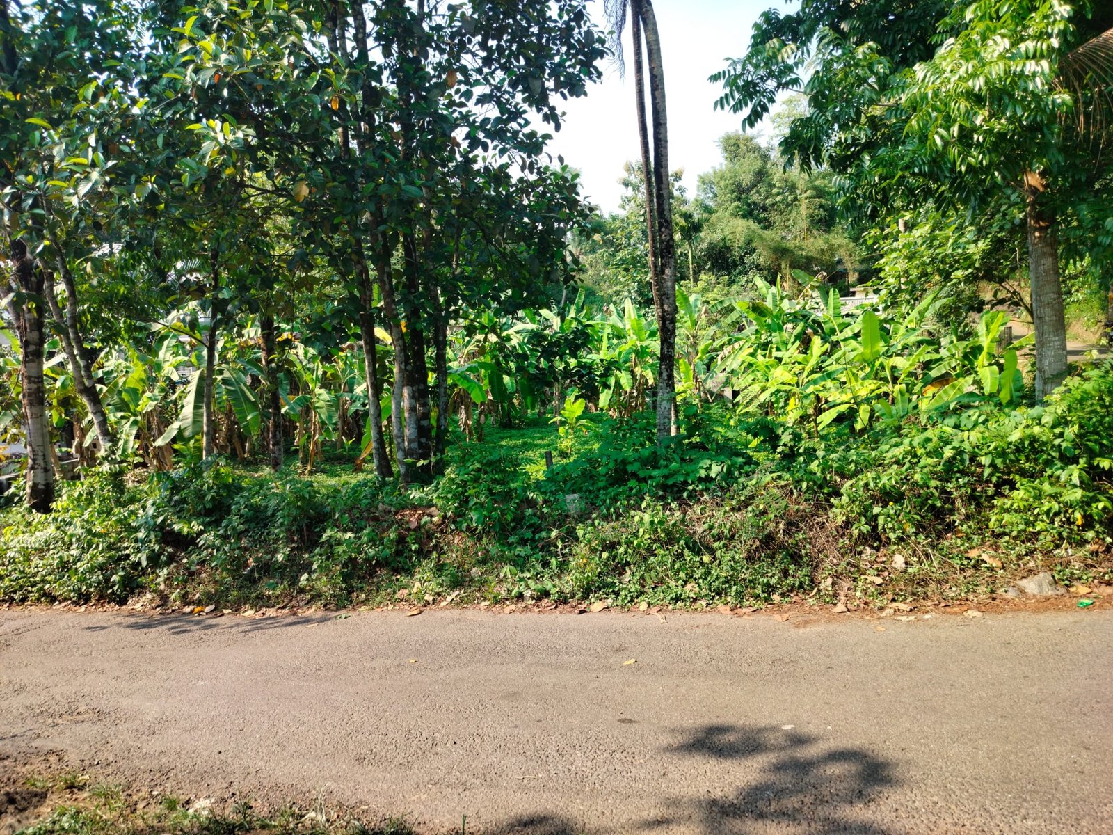 THRIKALATHOOR 10444 6