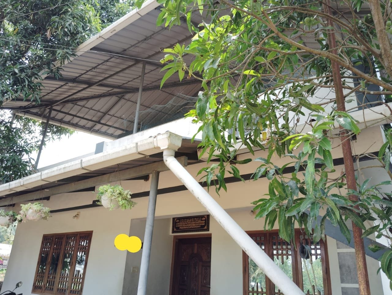 PALLICHIRANGARA 10534 3