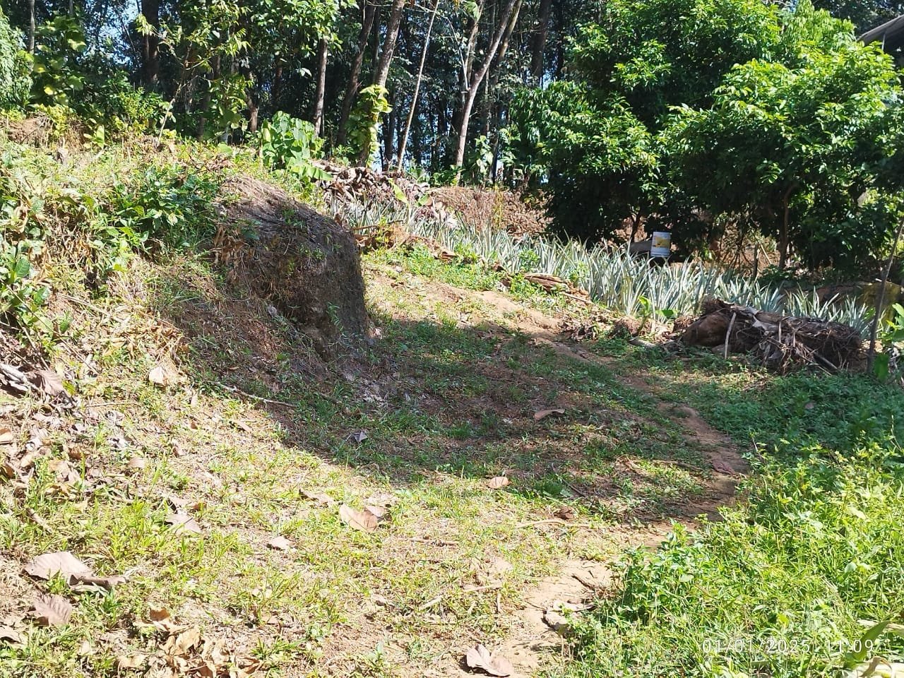 PUTHENKURISHU 10542 2