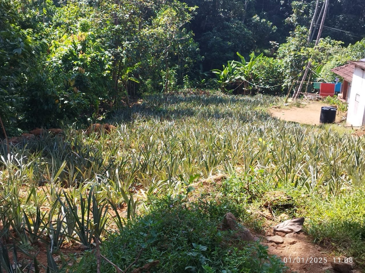 PUTHENKURISHU 10542 4