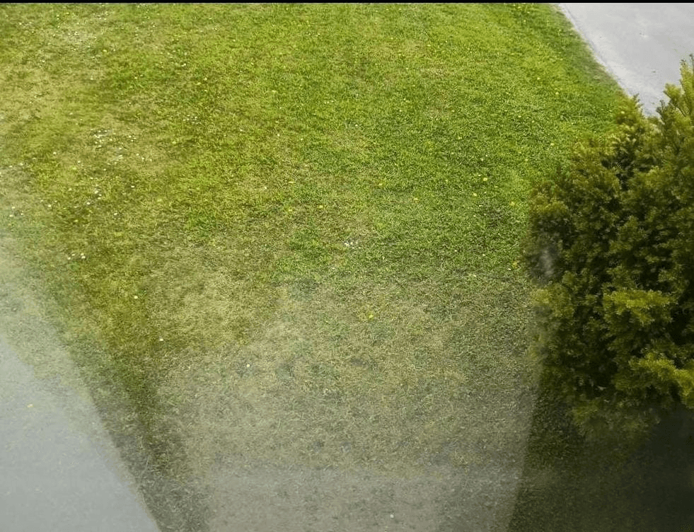 20250627_170838_0000