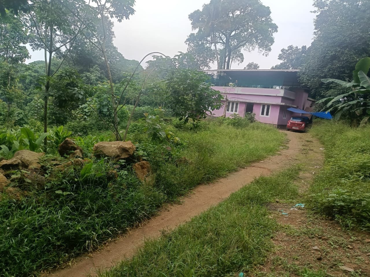 IMG-20250604-WA0036(1)