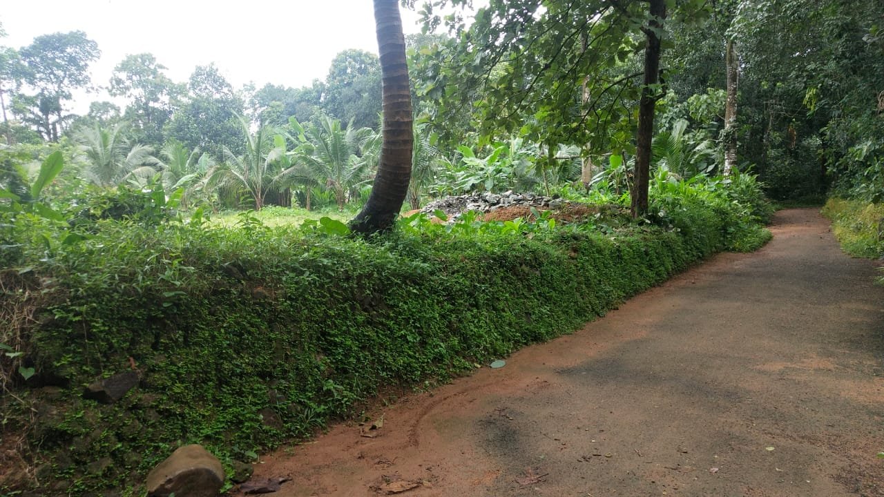 IMG-20250622-WA0009(1)