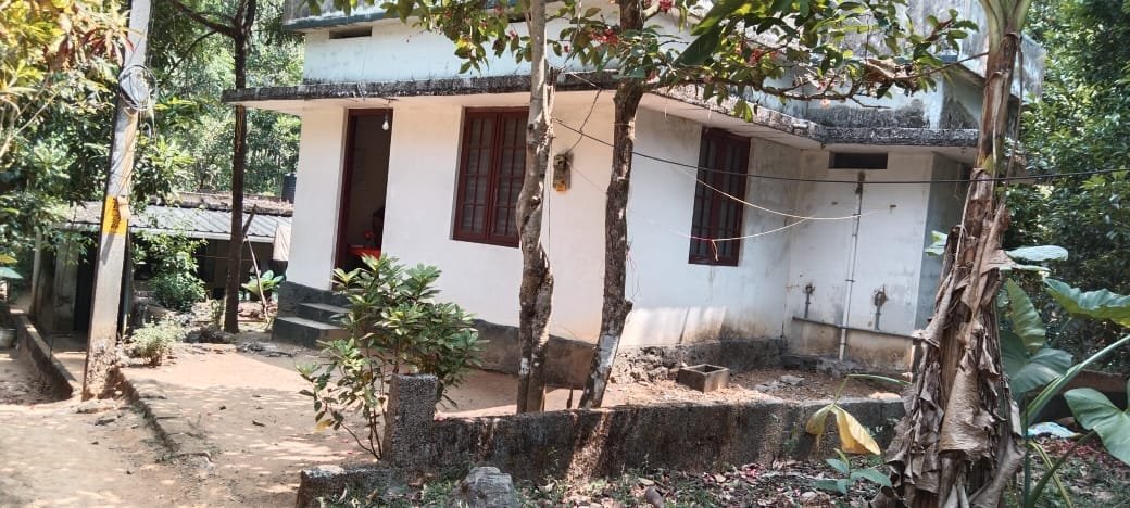 IMG-20250719-WA0033(3)