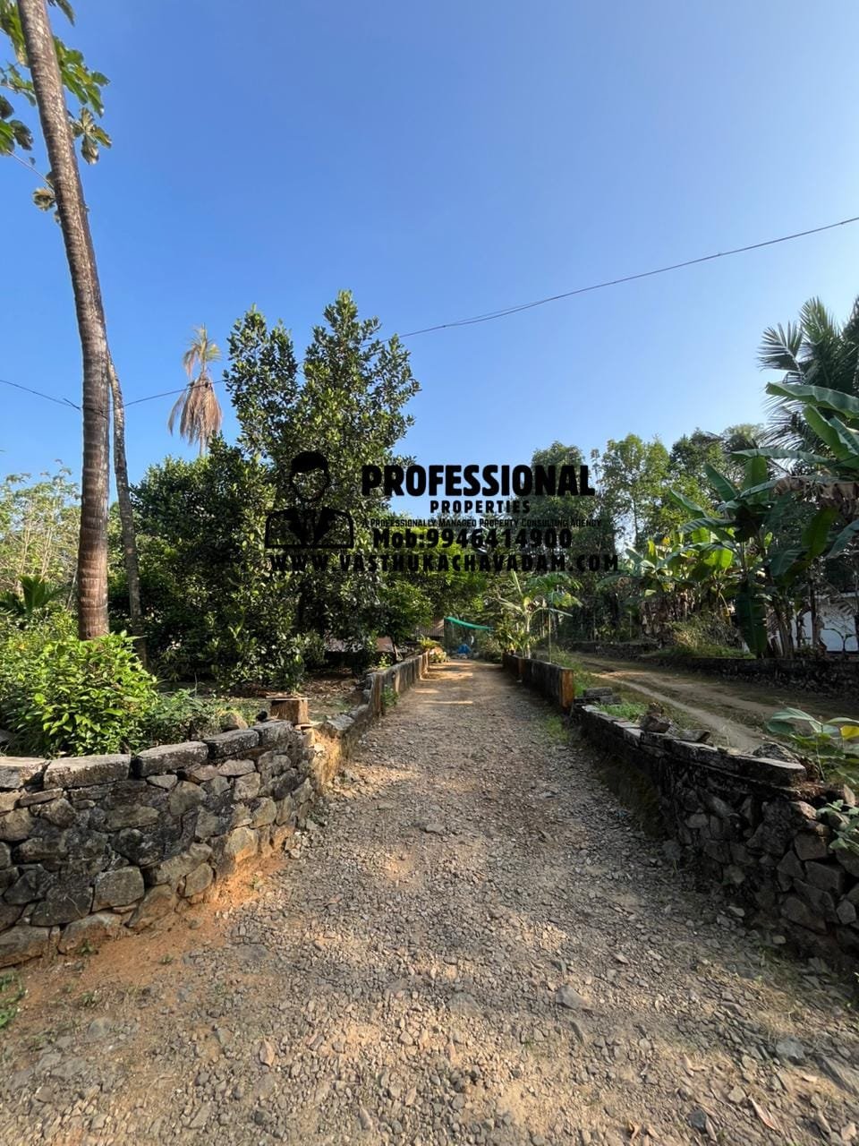 WhatsApp Image 2026-01-09 at 5.40.50 PM (2)