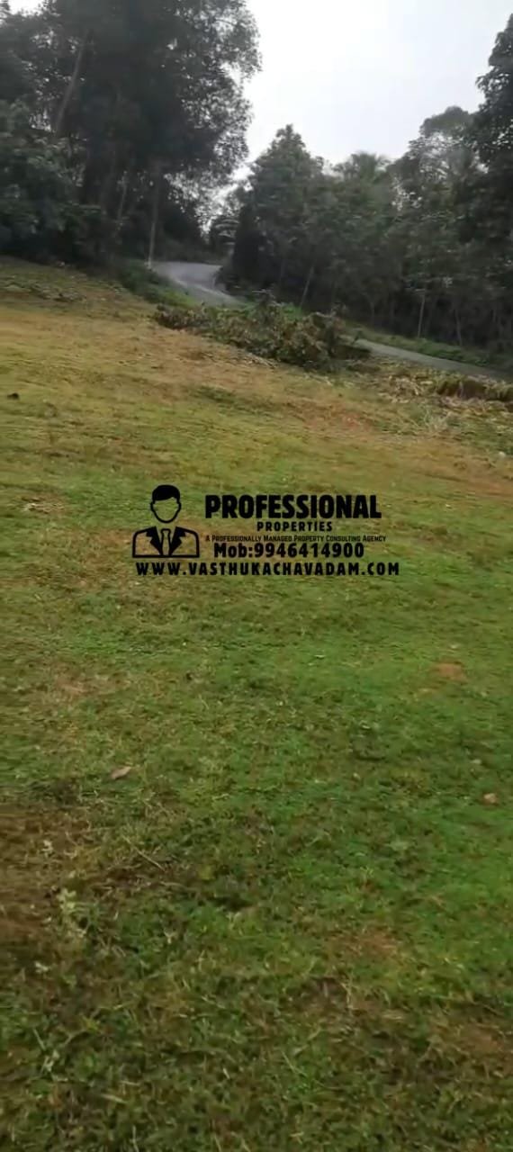 WhatsApp Image 2026-01-12 at 6.05.31 PM (1)