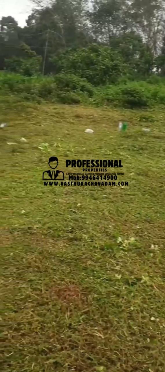 WhatsApp Image 2026-01-12 at 6.05.31 PM (2)