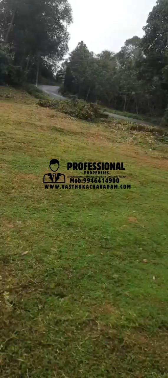 WhatsApp Image 2026-01-12 at 6.05.31 PM