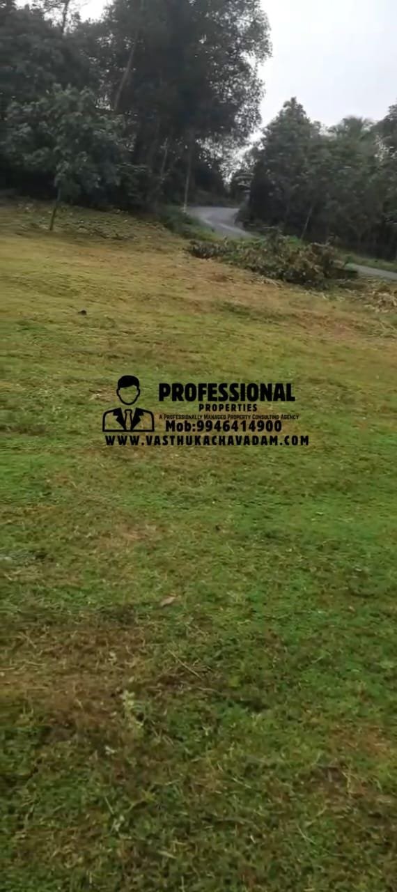 WhatsApp Image 2026-01-12 at 6.05.32 PM