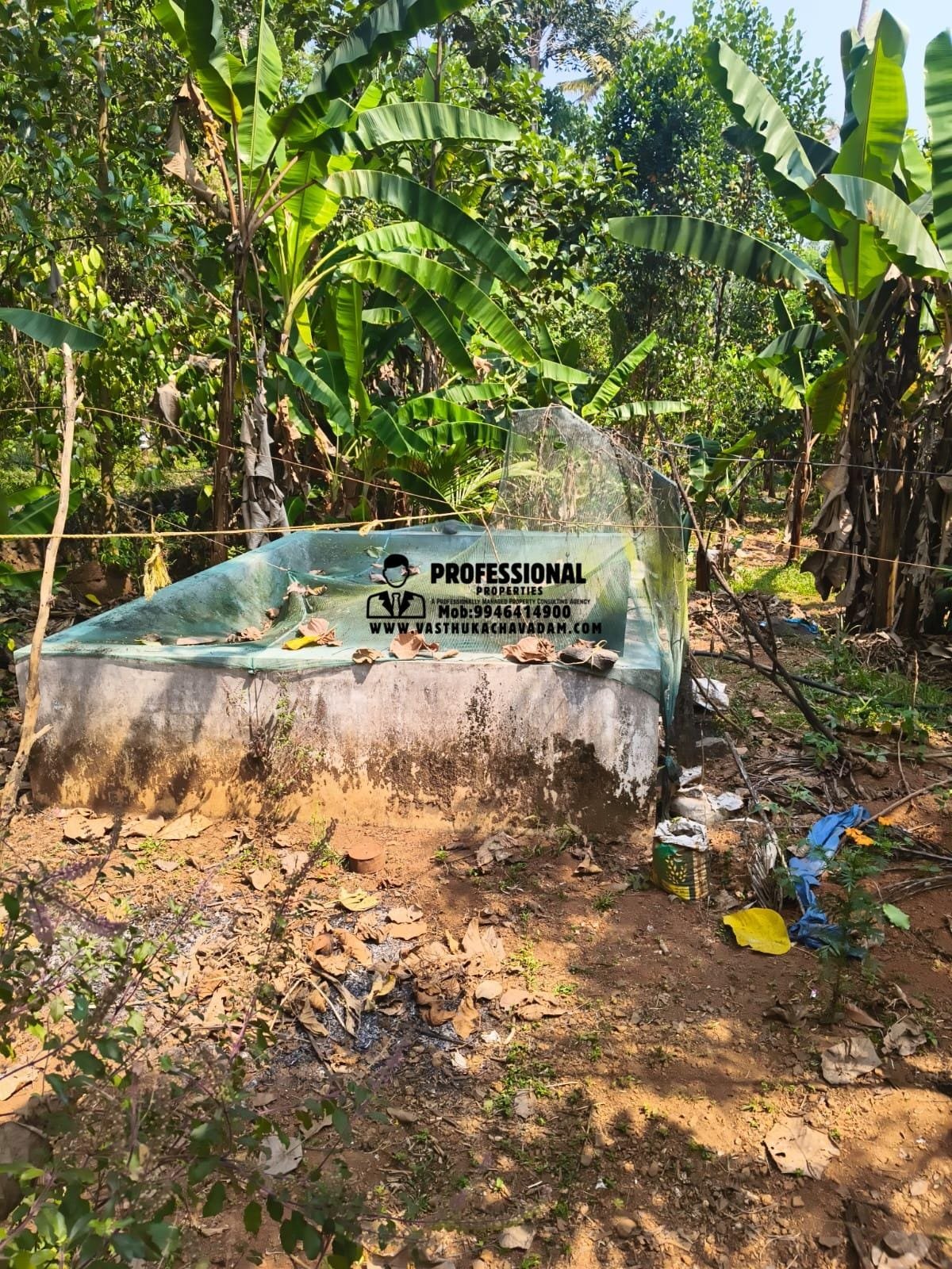 WhatsApp Image 2026-01-21 at 1.25.35 PM