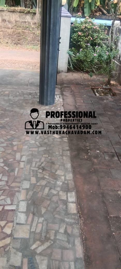 WhatsApp Image 2026-01-26 at 10.17.00 AM