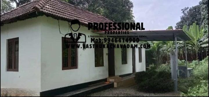 WhatsApp Image 2026-01-26 at 4.48.23 PM