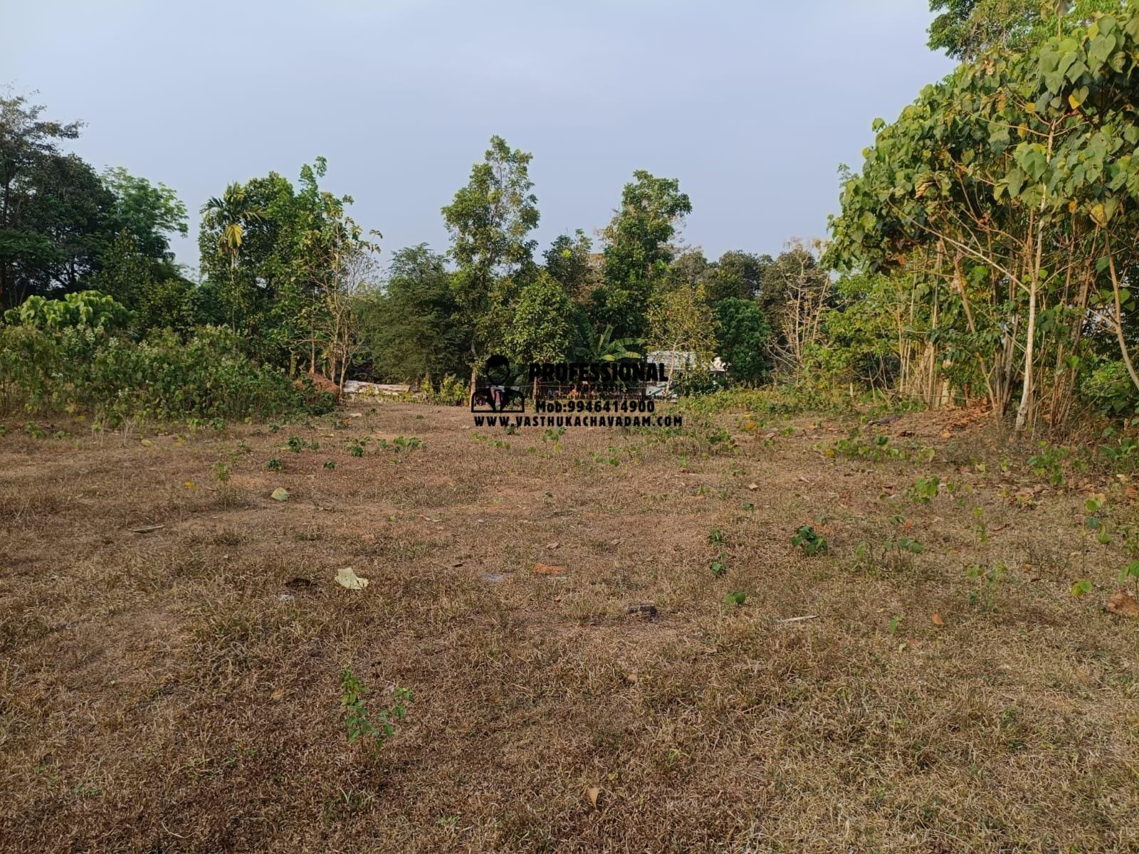 WhatsApp Image 2026-02-07 at 11.13.29 AM