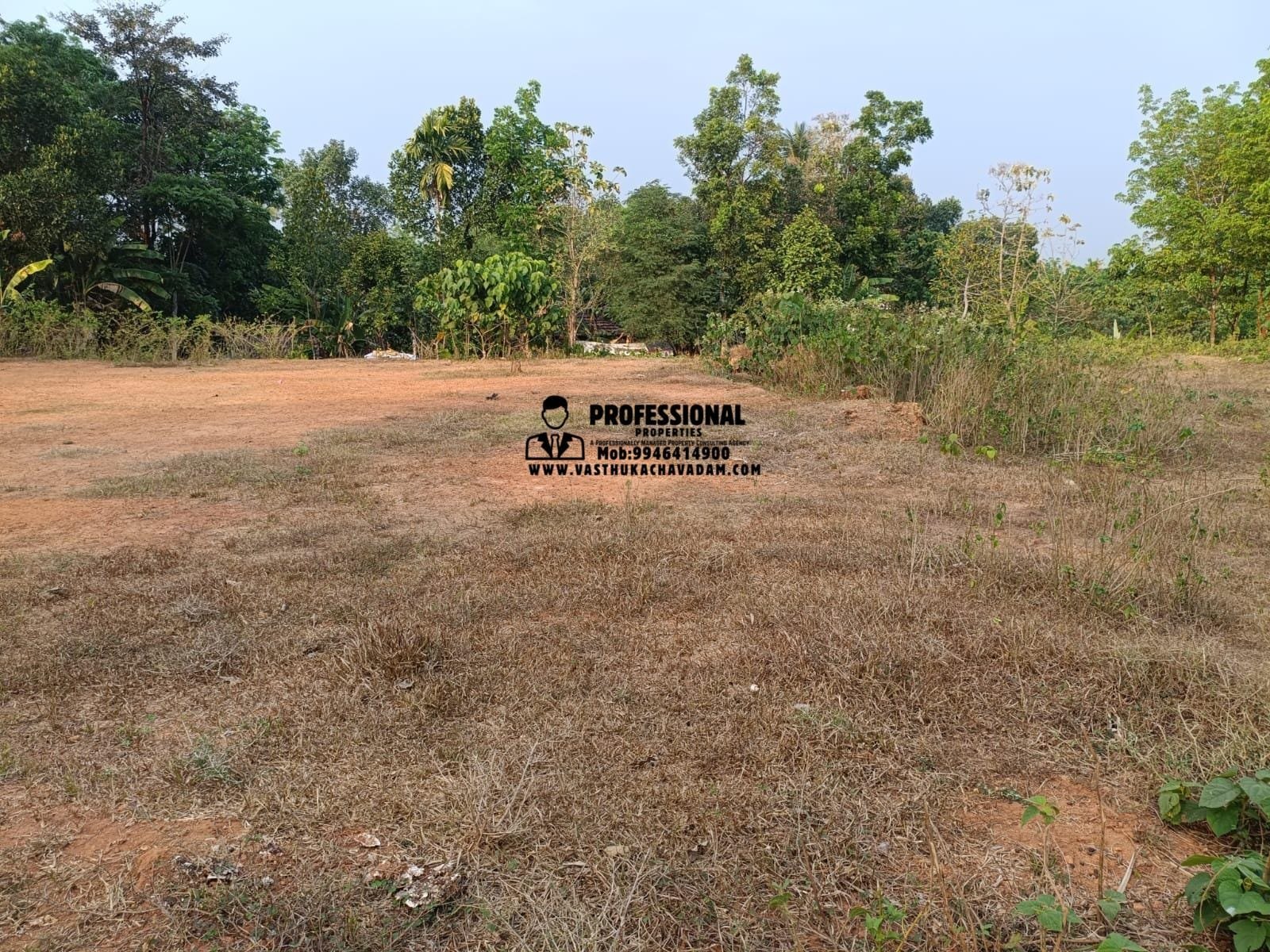 WhatsApp Image 2026-02-07 at 11.13.30 AM