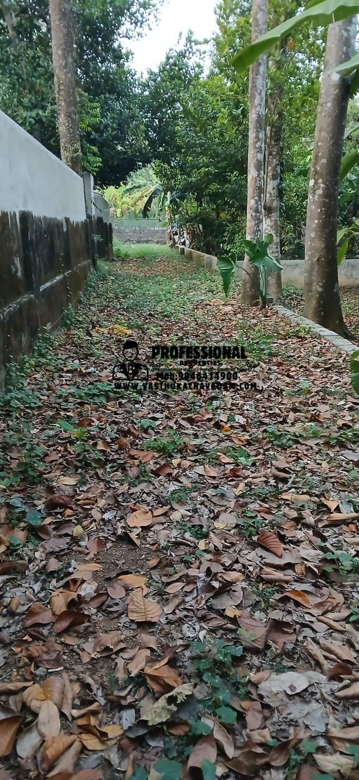 WhatsApp Image 2026-02-09 at 1.09.54 PM (1)