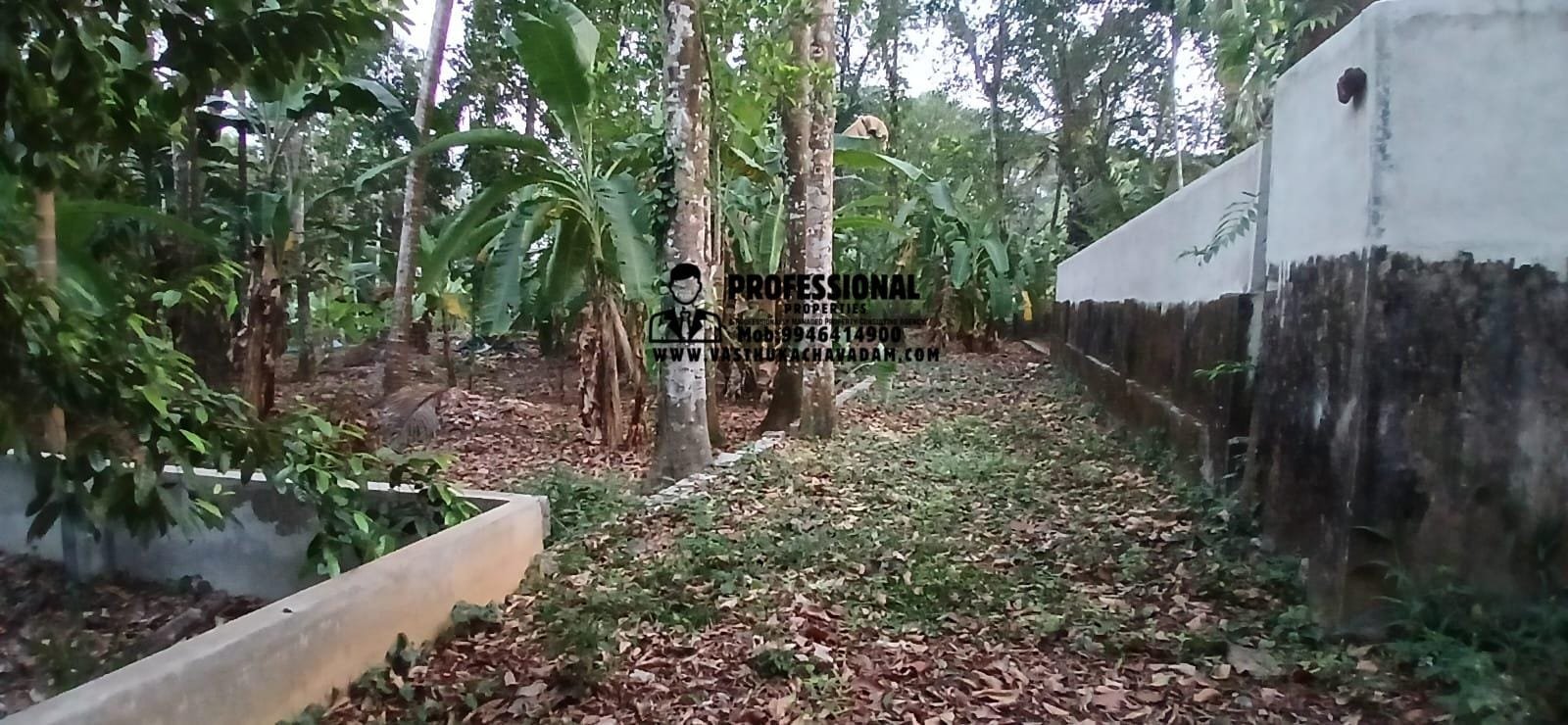 WhatsApp Image 2026-02-09 at 1.09.54 PM